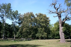 Killikus&reg; Fotographie